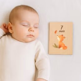 Cartes étapes bébé en bois – Lot de 12 - renard